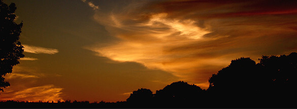 Petaluma Divorce Services